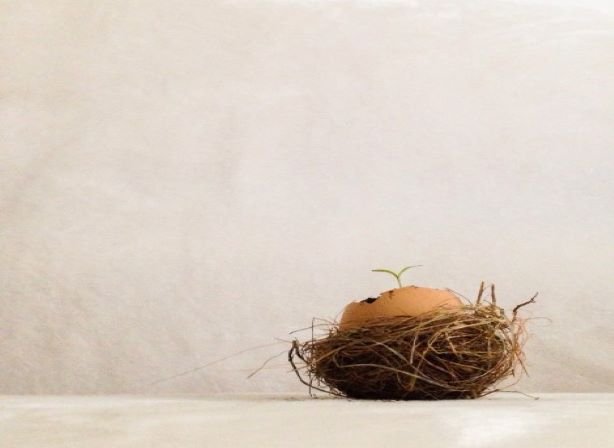 nest egg accumulation phase